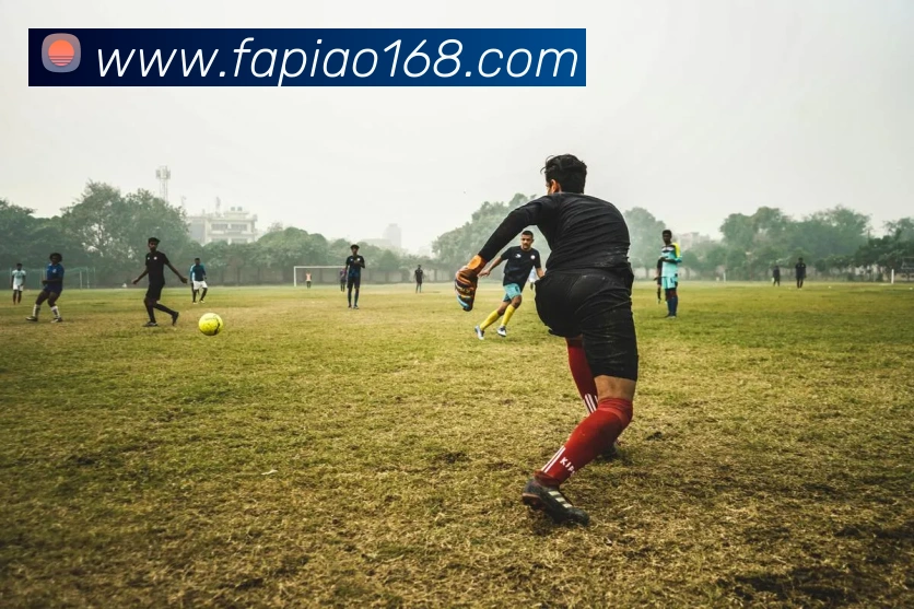 App 展示图